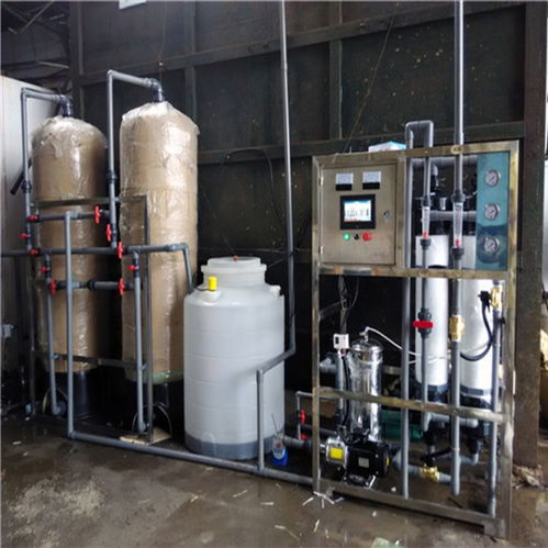 河源市達旺去離子水處理廠 15噸大型工業(yè)純水機助力噴涂清洗水高效凈化