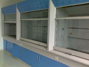 陜西實驗室通風(fēng)設(shè)備與裝修指南 西安通風(fēng)柜、延安裝修價格及廠家選擇